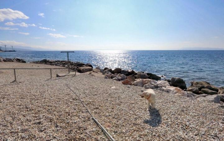 Apartman Andi Fiume Esterno foto